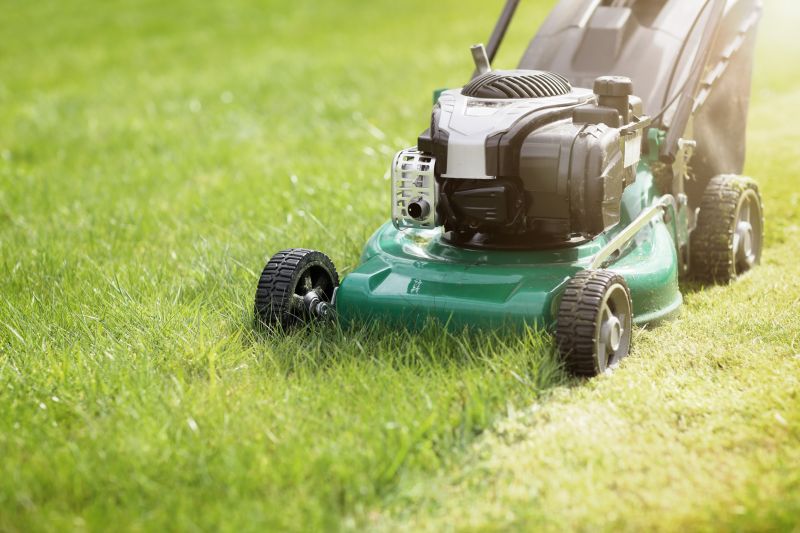 Lawn Edge Trimming