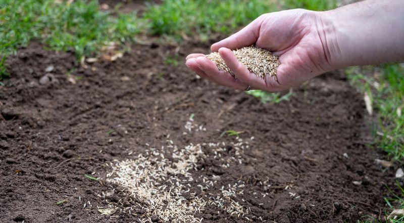 Reseeding Service in Ventura County, CA